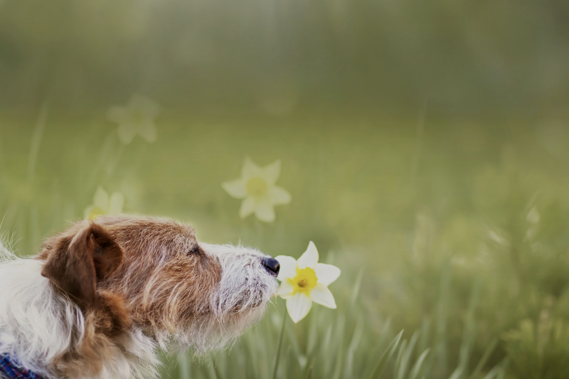 AdobeStock_493312610-scaled 2